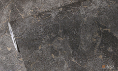 Du&Ka 1,06 м 260002-5 King Fon 3