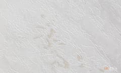 Du&Ka 1,06 м25101-1 Prestige Januare 2