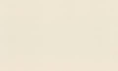 Rash 1.06m*10m 983586 Novella 1