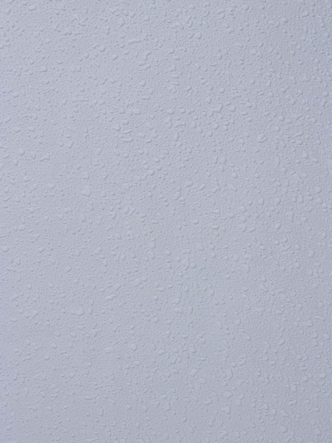 Обои Rasch Wallton 177423