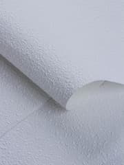 Обои Rasch Wallton 177423 4